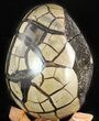 Septarian Dragon Egg Geode - Black Crystals #47475-2